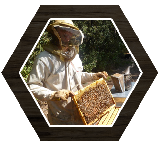Gaec de l'abeille verte Gaec de l'abeille verte