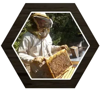 Gaec de l'abeille verte